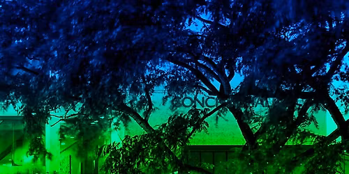 Live at Melbourne Street Green