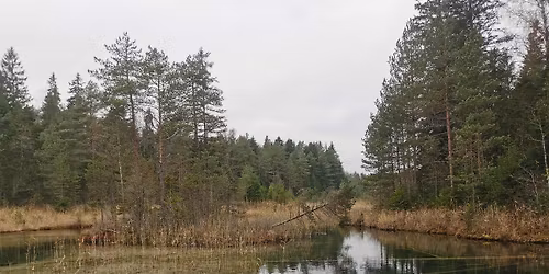 J\u00e4neda - Nelij\u00e4rve ringmatk