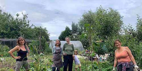 Breathing Spaces at the Nourish Allotment