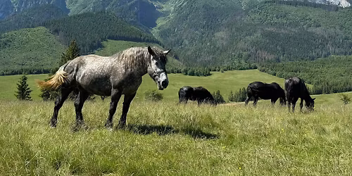 Tatrza\u0144ska Dolina na chillu