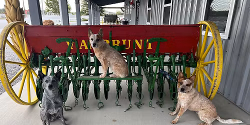 BCKC Scent Work Trial