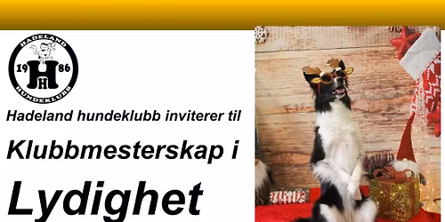 Klubbmesterskap i lydighet \ud83c\udfc6