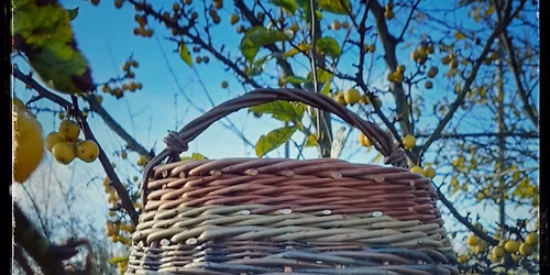 Basket - making workshop FULLY BOOKED