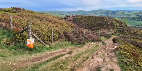 Orienteering for All \u2013 Tegg\u2019s Nose Country Park