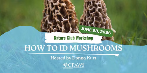 Workshop: How to ID Mushrooms