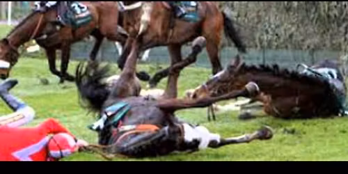 Protest\/leafletting (two days) outside Ladbrokes Christmas Festival