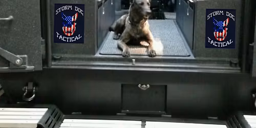 Swat Dog School Level 1