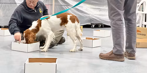 Fred Helfers (USA): Warsztaty NoseWork dla przewodnik\u00f3w i instruktor\u00f3w (pocz\u0105tkuj\u0105cy i zaawansowani)