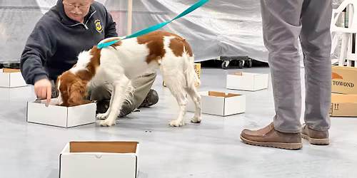 Fred Helfers (USA): Warsztaty NoseWork dla przewodnik\u00f3w i instruktor\u00f3w (pocz\u0105tkuj\u0105cy i zaawansowani)