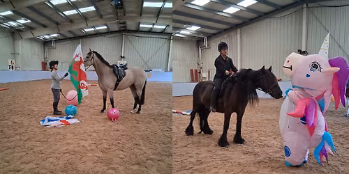 Intelligent Horsemanship Clinic