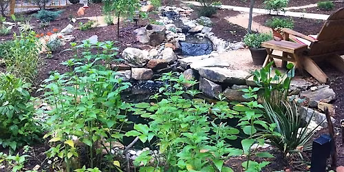 Water Features - Hattie Meadows Gardening School