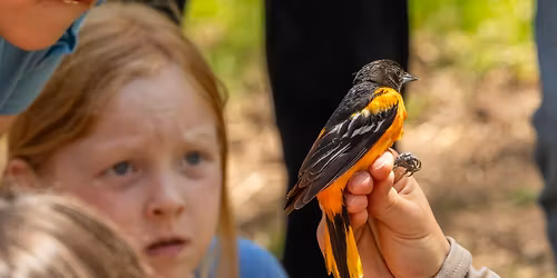 World Migratory Bird Day