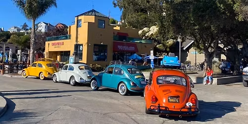 Doggycon & Christmas Doggy Party