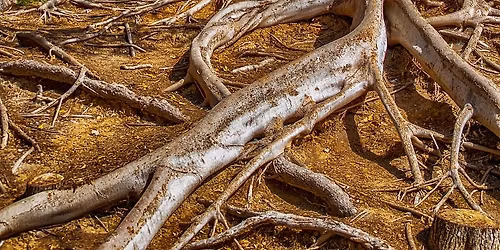 Andlig Praktik: start 27 januari 2026