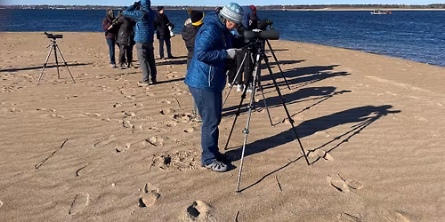 Superbowl of Birding