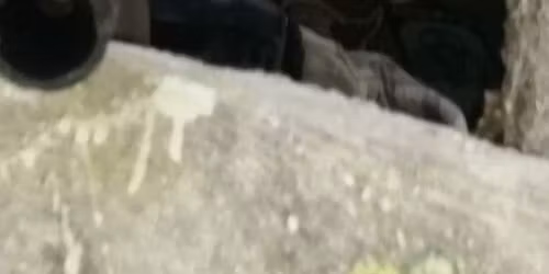 Airsoft BB Wars May 24th 2026