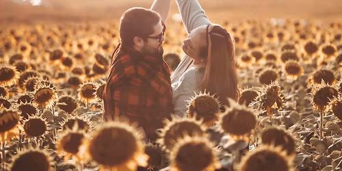 Grand opening weekend minis