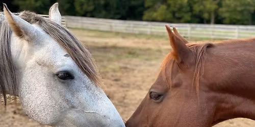Stockhands Couples Night