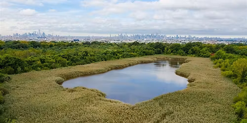 Volunteer Landscaping and Cleanup at Ridgewood Reservoir