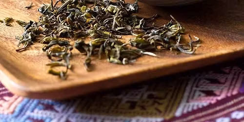 Tea Exploration - Amavida Coffee Classes