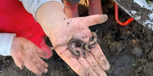 Children's Pollinator Bed Plant Up