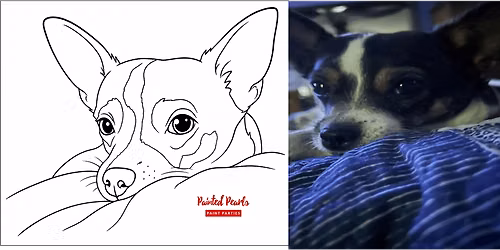 Paint Your Pet Paint and Sip