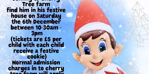 Elf on the shelf at Cherry tree farm