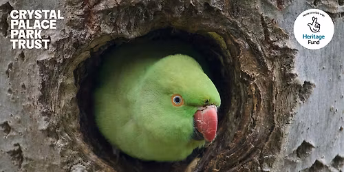 Young Persons Bird Walk for 18 to 30 year olds - Free