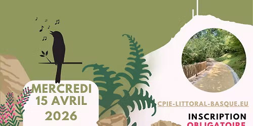 Sortie nature, \u00e0 l'\u00e9coute des chants d'oiseaux au bois de Contresta \u00e0 Bidart