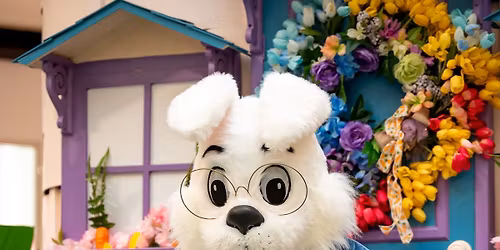 Pet Photos with the Easter Bunny at Vancouver Mall