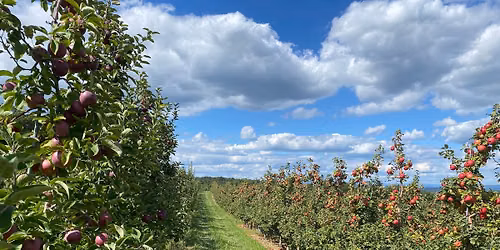 U pick at Green\u2019s Eco-certified Fruit Farm!