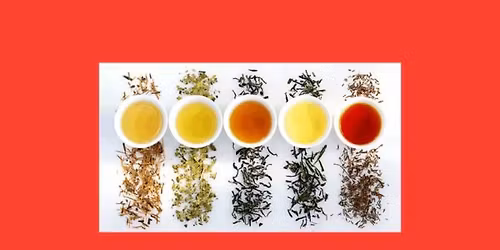Tea Tasting- Tea 101