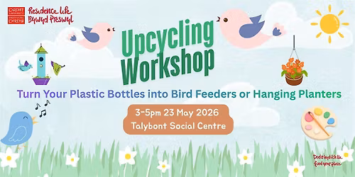 Bottle Planters and Bird Feeders  \u00a6 Plannu Botel a Bwydydd Adar