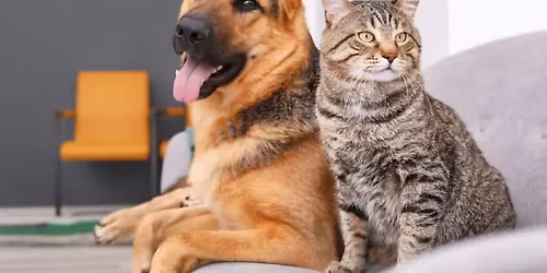 FREE Cat and Dog Microchipping