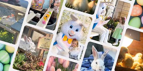 Easter Bunny Fun Day at the Farm 
