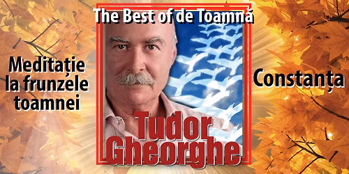 Medita\u021bie la Frunzele Toamnei (The Best of de Toamn\u0103)