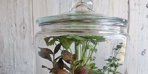 Terrarium Workshop