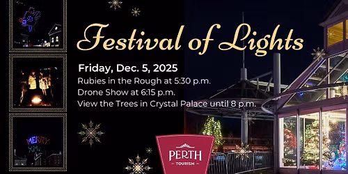 Festival of Lights: Drone Show, Holiday Trees and Music in Perth