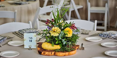 Farm-to-Table Dinner