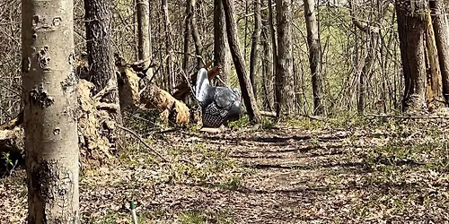 ASA Classic warm-up- Money shoot