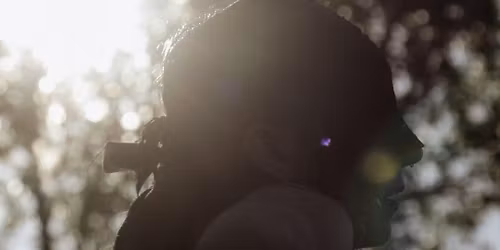 Yule: the plants,  rituals & stories