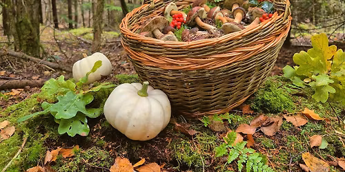 Oval basket - 28th June