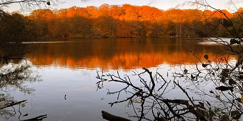 Slagelse Lystskov - Idag\u00e5rd Skov 8 km