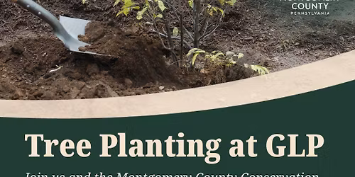 Tree Planting at GLP!