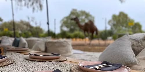 Camel yoga with luxury picnic