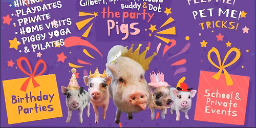 \ud83d\udc37 Piggy Playdate at the Cafe! \ud83d\udc37