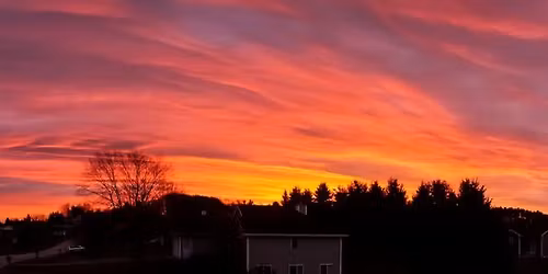 Holiday Party - Paid Members and family only