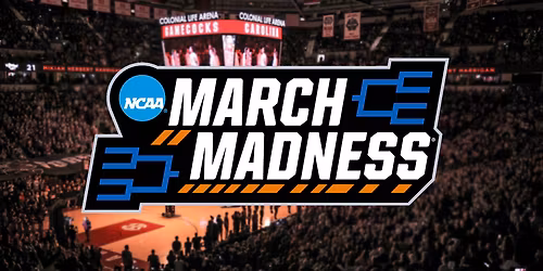 South Carolina Gamecocks at South Florida Bulls Womens Basketball at Yuengling Center