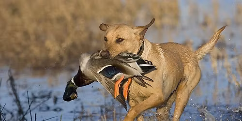 Annual Conservation Banquet