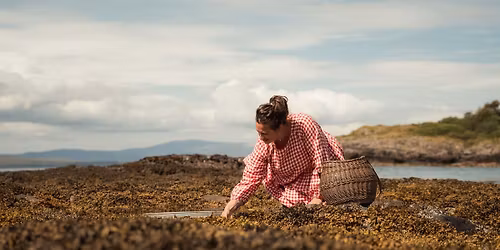 Forage and Feast - Spring Tides